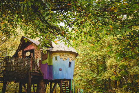 BeWILDerwood, the curious treehouse adventure park 