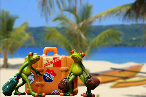 frogs travelling with luggage 