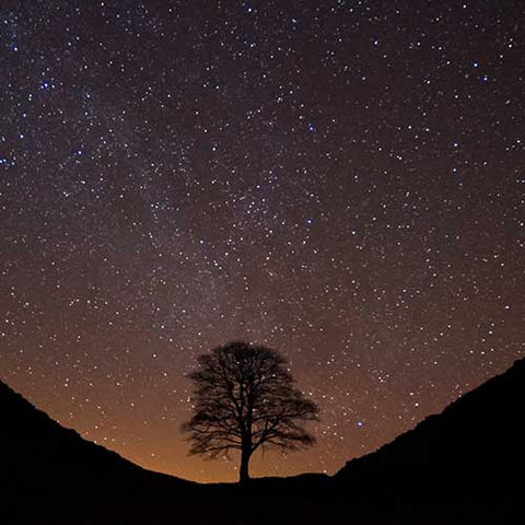 Northumberland National Park 