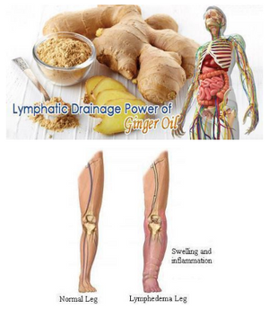 Premium Ginger Oil - Improves Swelling, Joint Pain, Infection
