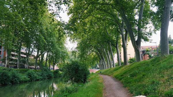 canal-du-midi-unesco-toulouse