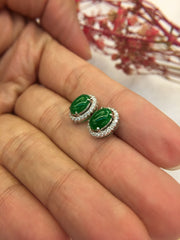 Green Jade Earrings - Cabochon (EA282)