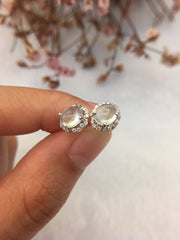Glassy Variety Jade Earrings - Cabochon (EA015)