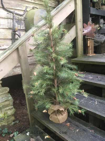 4 Foot Christmas Tree