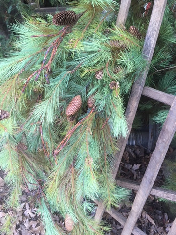 realistic pine garland