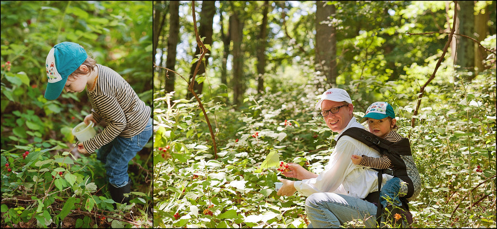 small child berry picking, mother wearing same child in baby carrier and berry picking.