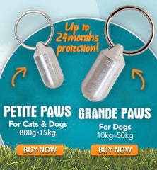 Natural flea control Pawtect