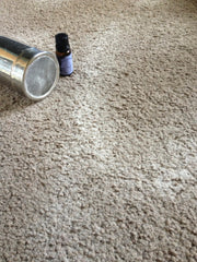 Dustmites & Fleas - sprinkle the carpets