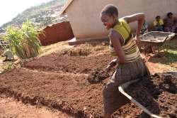 Sack gardens are an example of successful start-up businesses run by the women of Project Have Hope