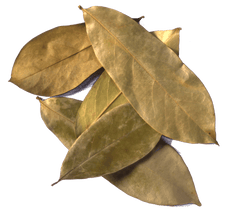 Graviola Leaves - Graviola Tea Company