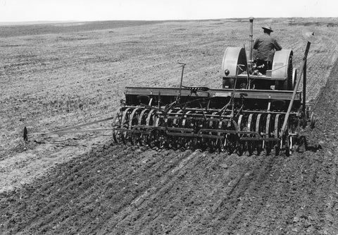 Farming Flax