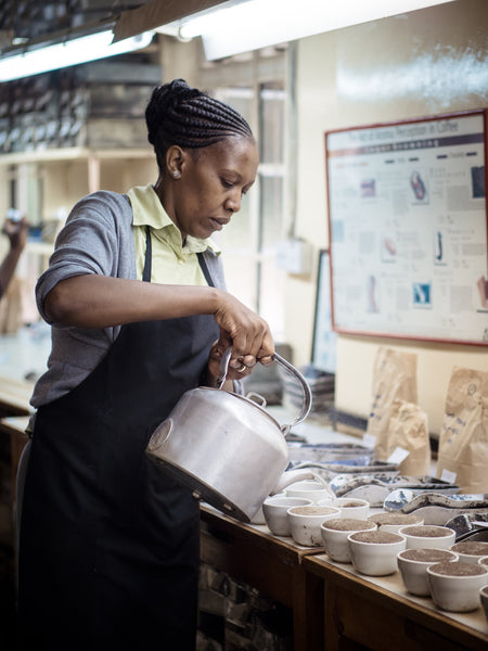 Cupping coffee at Dormans in Kenya