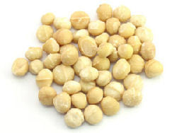 Macadamia Nut E-Liquid (FW) - PEC Vape Shop