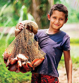 Fish Farm for a Family