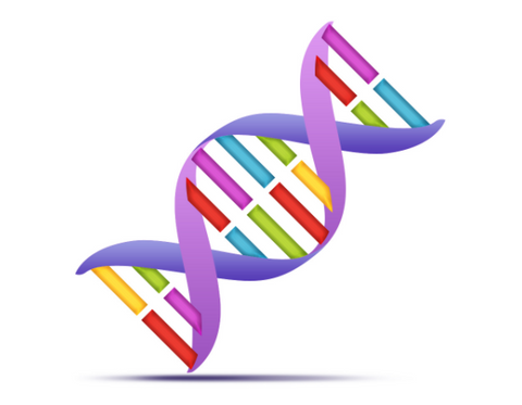 DNA