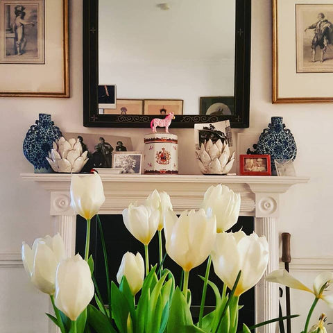 Home with Tulips