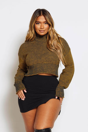 Mustard Two Tone High Neck Crop Jumper