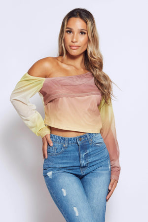 Plus Ombre Mesh Crop Top