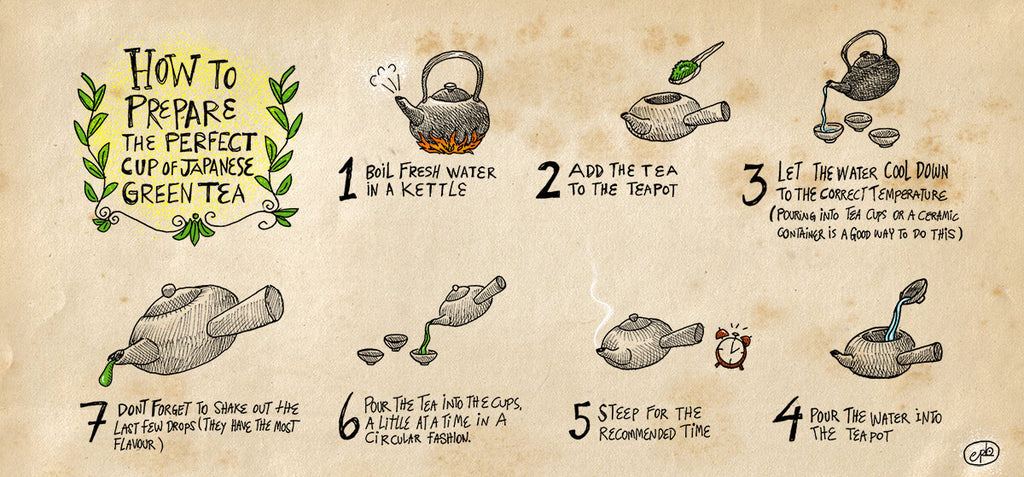 Ocha Co Green Tea Brewing Guide