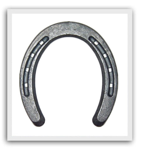 Nordic Forge Horseshoes in TN