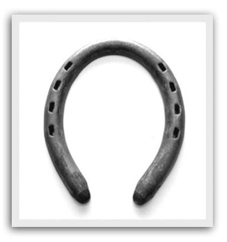 Horseshoes in TN