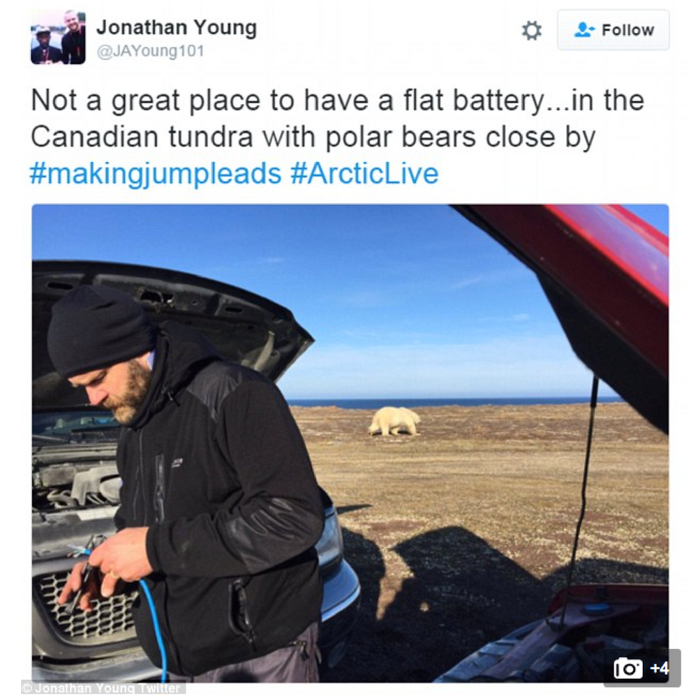 Jonathan Young - cameraman fixing car with Polar bears
