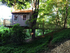 A treehouse with a bridge long a hill