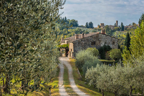 Stone farmhouse Podere Erica