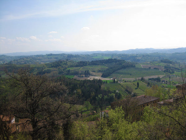 View from tower in San Miniato