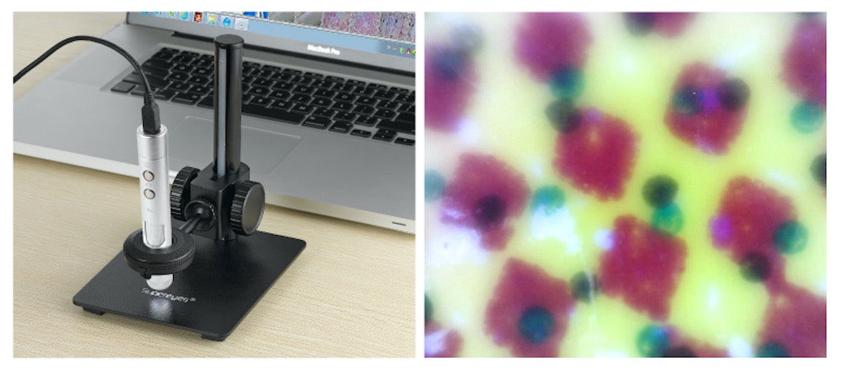 B011 5MP 500X Portable USB Digital Microscope with Interchangeable Lens