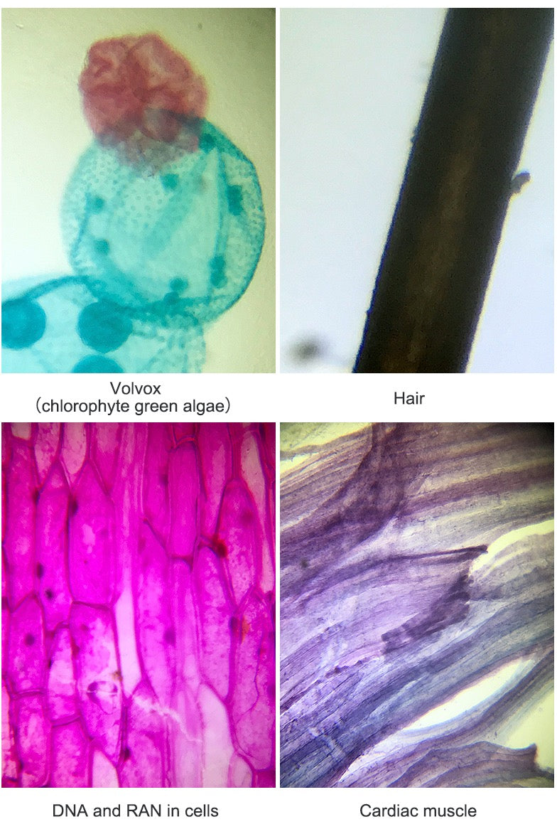 Supereyes S003 Portable Smartphone Biological Microscope for Smart Phones iPhone Samsung Tablets 