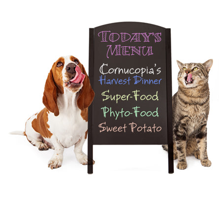 Doc Broderick's Feeding Paradigm For Big Dogs