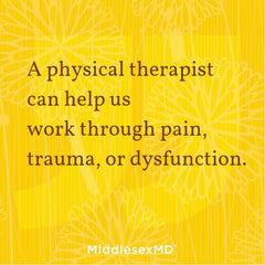 A physical therapist can help us work through pain, trauma, or dysfunction.