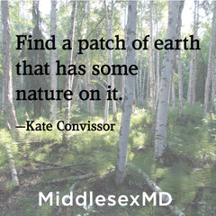 Find a patch of earth that has some nature on it.