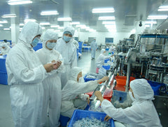 ATOMO production line