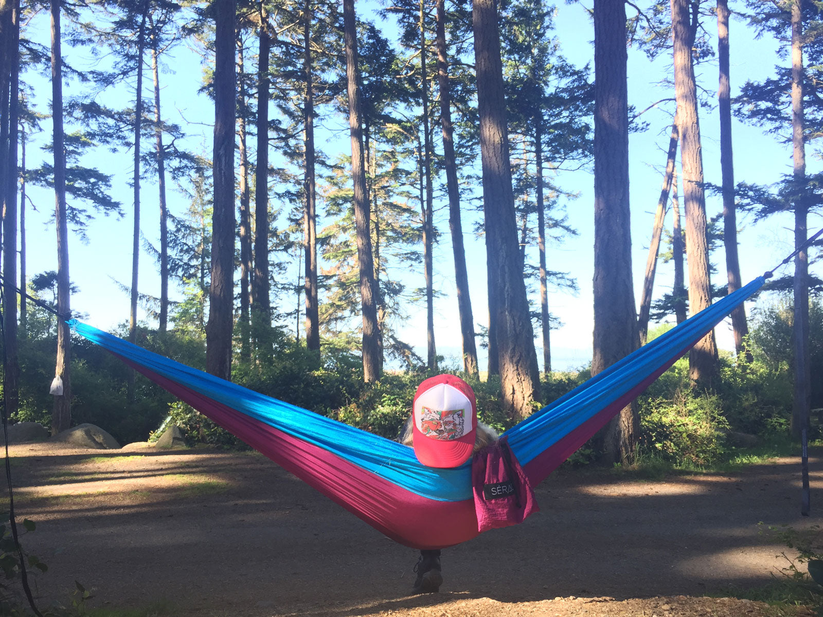 Camper with a backwards hat is sitting in a hammock and looking up at the tall trees.