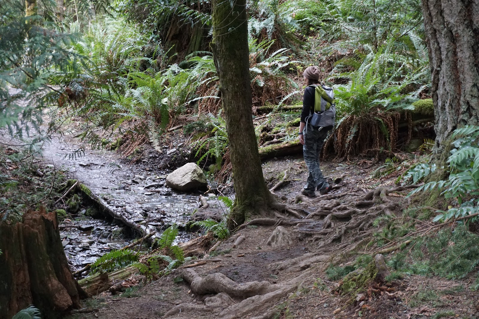 Six Amazing Hikes in Washington State - Oyster Dome