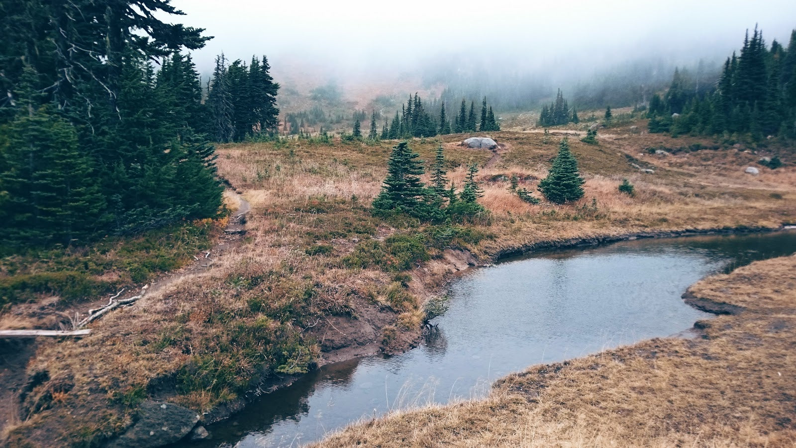 Six Amazing Hikes in Washington State - Spray Park Trail & Falls