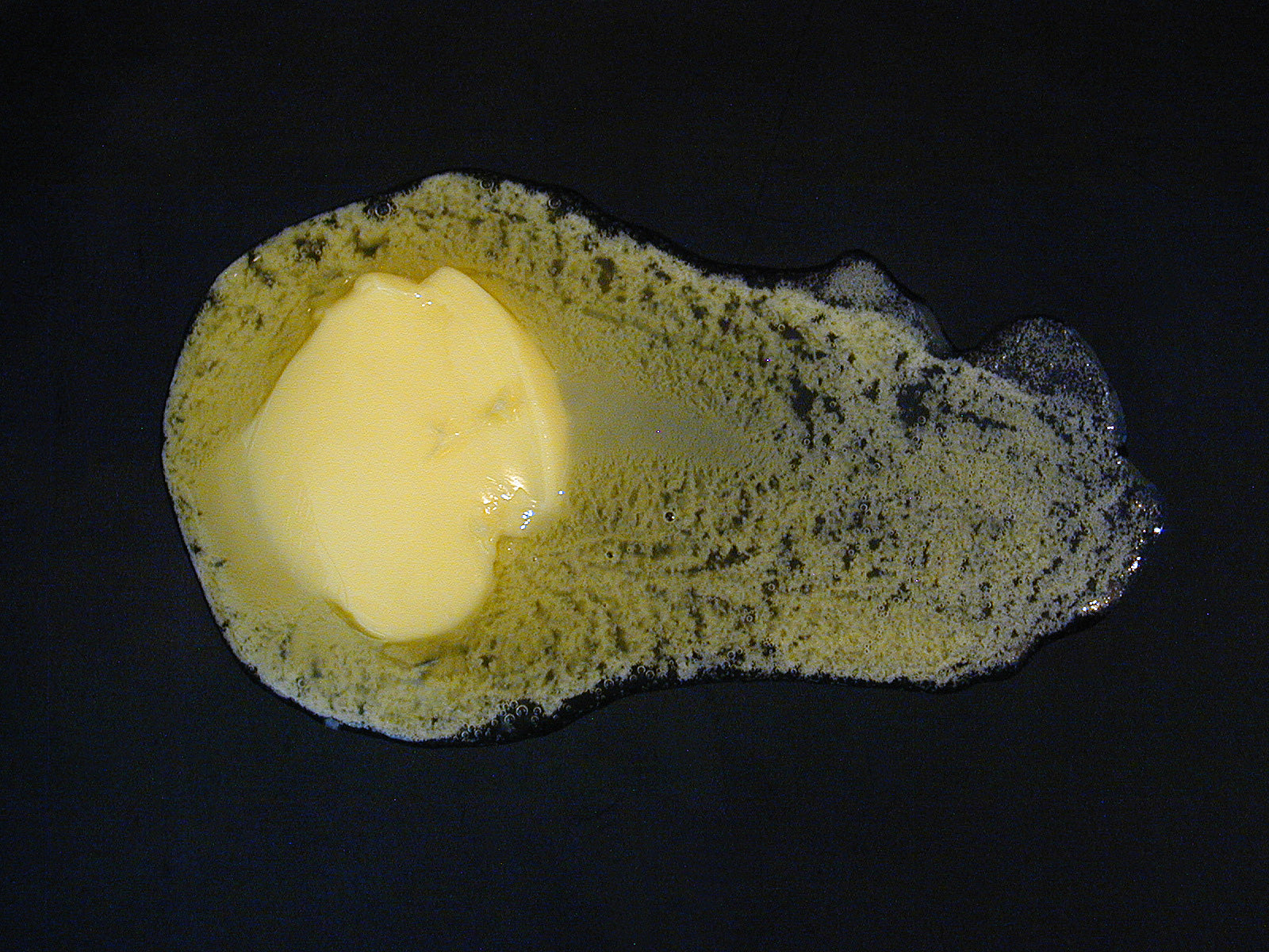 Close up image of butter melting in a skillet.