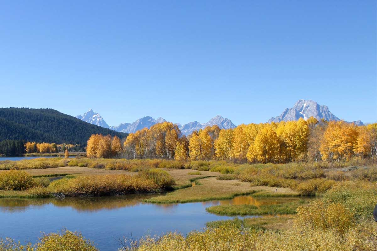 Lakeside view of mountains in the distance with yellow fall leaves on the trees.