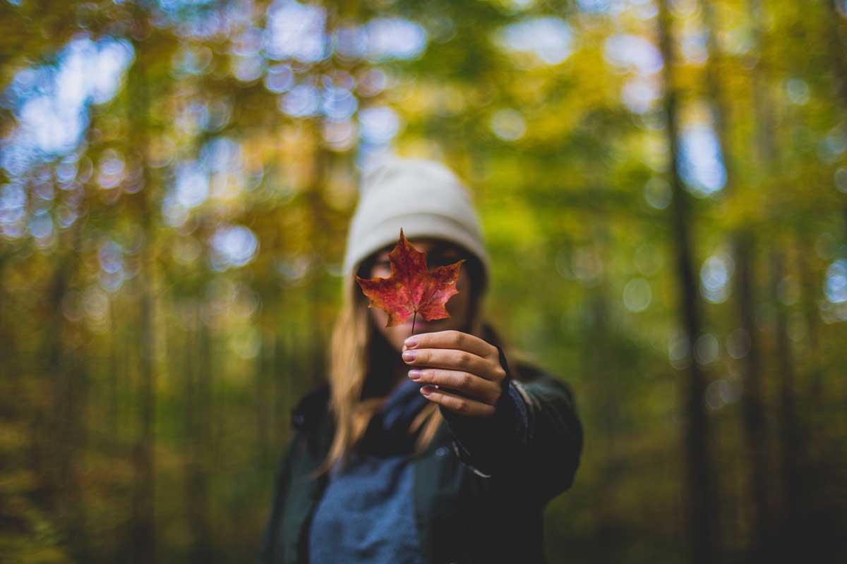 Hiker standing in forest holding up a orange fall leaf.