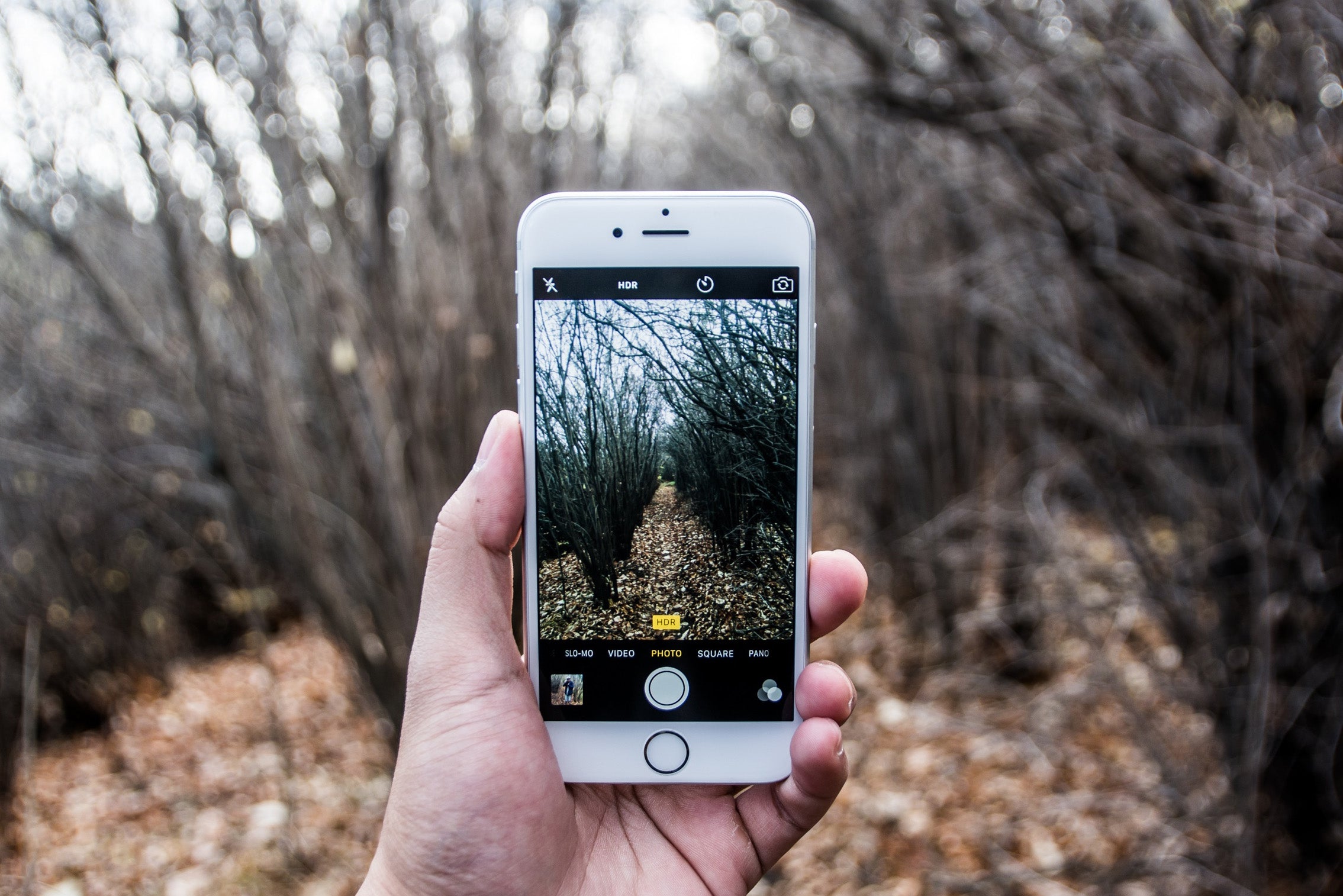 Take better hiking photos by using the iPhones HDR mode