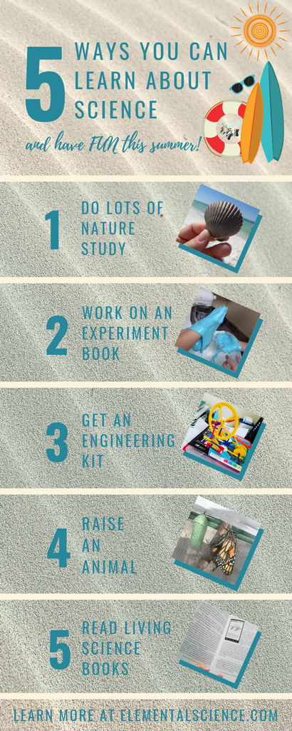 5 Ways you can learn about science and have fun during the summer