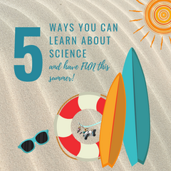 5 Ways You Can Learn About Science And Have Fun During The Summer