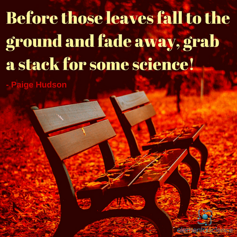 Pinspiration->"Before those leaves fall to the ground and fade away, grab a stack for some science!"