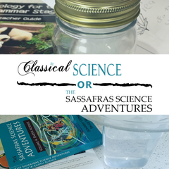 Should you use the Classical Science series or the Sassafras Science series from Elemental Science next year?