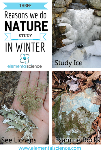 3 Reasons We Do Nature Study in the Winter