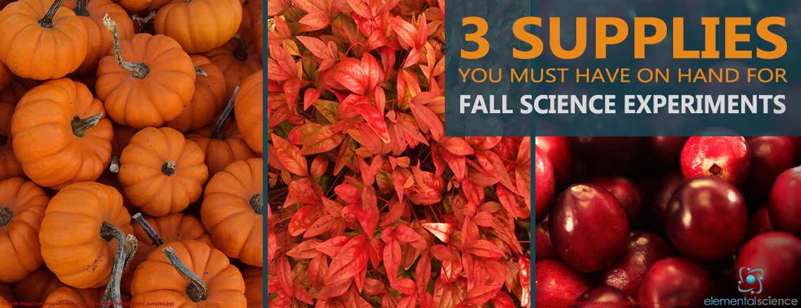 Pumpkins, fall leaves, and cranberries are perfect for fall science experiments! Get some ideas on how to use the supplies at elementalscience.com.