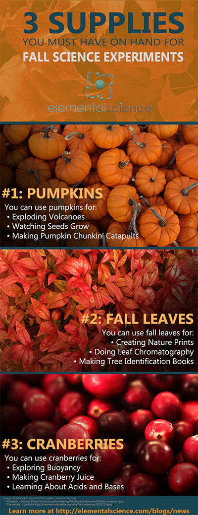 Check out these fall science experiment ideas using pumpkins, fall leaves, and cranberries!
