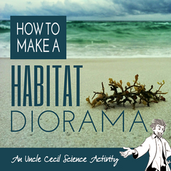 How to Make a Habitat Diorama